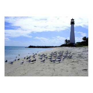 Cape Florida from Beach with Birds print