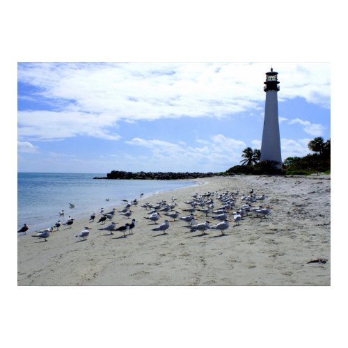 Cape Florida from Beach with Birds print