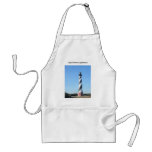 Cape Hatteras Lighthouse Apron