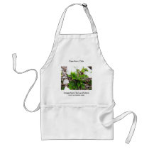 Cape Horn, Chile 3 aprons