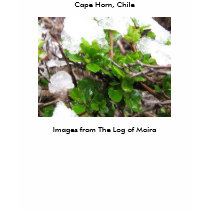 Cape Horn, Chile 3 t-shirts