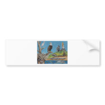 Cape Kennedy Wildlife Bumper Stickers