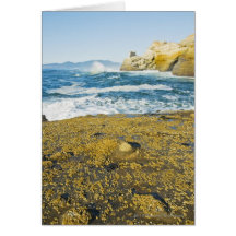 Cape Kiwanda And The Pacific Ocean Cards