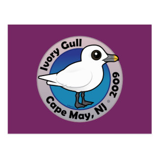Ivory Gull Post Cards