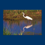 Cape May Point White Egret canvas prints