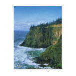 pen tablet software | “Oregon, coast”,”Cape, Meares”,, “Oregon, coast”,”Cape, Meares”,,