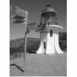 Cape Reinga Acrylic Cut Outs