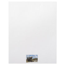 Cape San Blas Florida Dunewalk from beach side Custom Letterhead