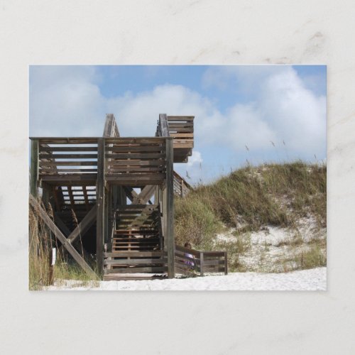 Cape San Blas Florida Dunewalk from beach side postcard