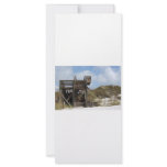 Cape San Blas Florida Dunewalk from beach side rack cards