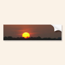 Cape San Blas Sunset bumper stickers
