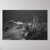 Cape Sounion, Greece Print