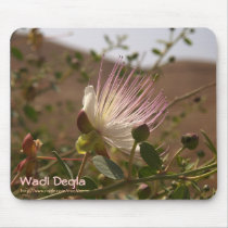 Caper-flower @ Wadi Degla mousepads by Moshira Caper-flower @ Wadi Degla mousepads