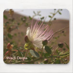 Caper-flower @ Wadi Degla Mouse Pads