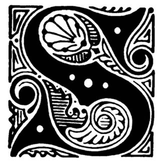 Capital Letter S - Magnet magnet