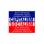 Capitalism Ladies Shirt