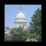 Capitol Building from Bartholdi Park Magnet
