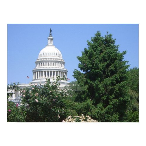 Capitol Building from Bartholdi Park Print print