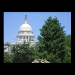 Capitol Building from Bartholdi Park Print
