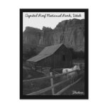 Capitol Reef National Park Post Card