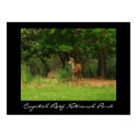 Capitol Reef National Park posters by sumiko Capitol Reef National Park posters