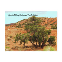 Capitol Reef National Park, Utah postcards