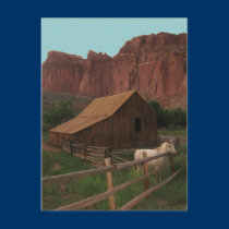 Capitol Reef National Park, Utah postcards by sumiko Capitol Reef National Park, Utah postcards