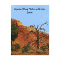 Capitol Reef National Park, Utah postcards