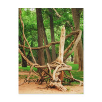 Capitol Reef National Park, Utah postcards by sumiko Capitol Reef National Park, Utah postcards