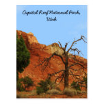 Capitol Reef National Park, Utah Postcards