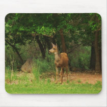 Capitol Reef Nat'l Park mousepads by sumiko Capitol Reef Nat'l Park mousepads