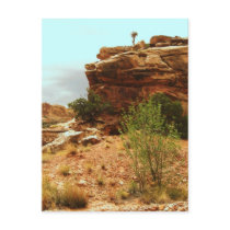 Capitol Reef Nat'l Park postcards
