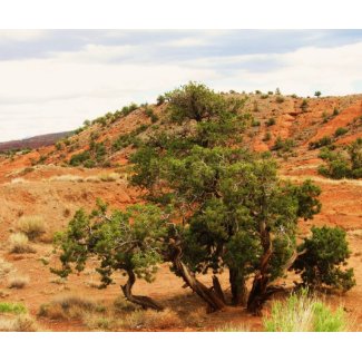 Capitol Reef Nat'l Park scene mousepad
