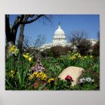 Capitol Spring 8x10 Posters