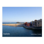Capitola California Products Postcard