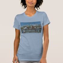 Capoeira in Bahia t-shirts