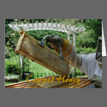 Capped Honey cards