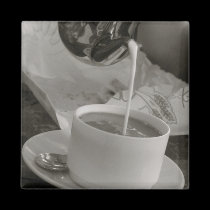 Cappuccino magnets by amphotographystudio Cappuccino magnets