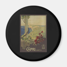 Capri Napoli Refrigerator Magnets