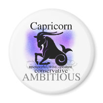 Capricorn About You magnets