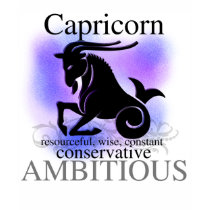 Capricorn About You t-shirts