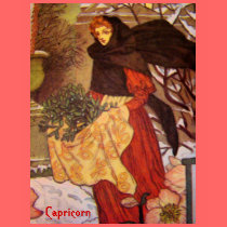 "Capricorn" Astrology Sign Women's Shirt