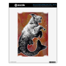 Capricorn Decals For The NOOK
