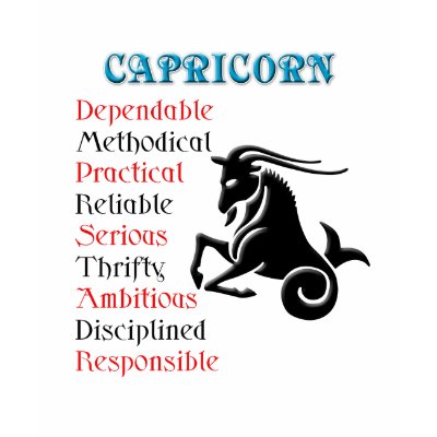 Capricorn Horoscope Zodiac Sign T Shirt by all_items