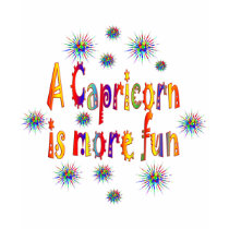 Capricorn is Fun t-shirts