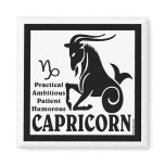 Capricorn Magnet