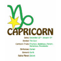 Capricorn Traits Ladies Baby Doll T-Shirt shirt