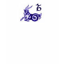 Capricorn t-shirts