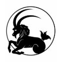 Capricorn t-shirts