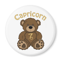Capricorn Zodiac Teddy Bear magnets